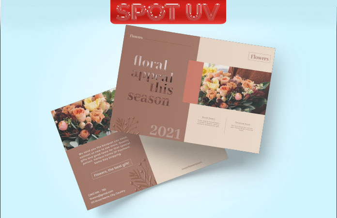 Postcards - Soft Touch Matte Lamination + Raised Spot UV